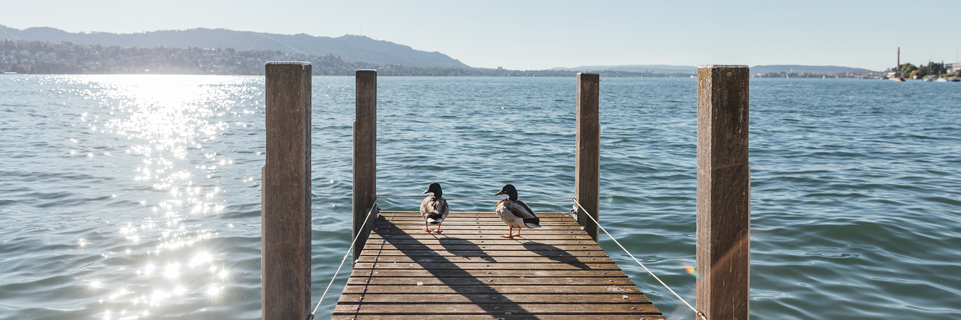 Gehen Sie im Hotel vor Anker mit der besten Lage am Zürichsee.